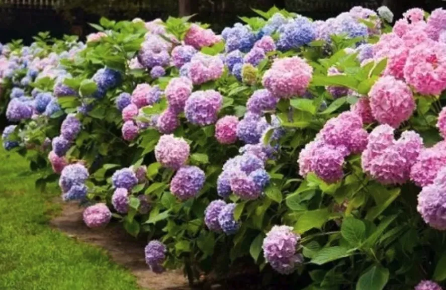 Local garden landscaping in Greenup, IL by Sunrise Landscaping