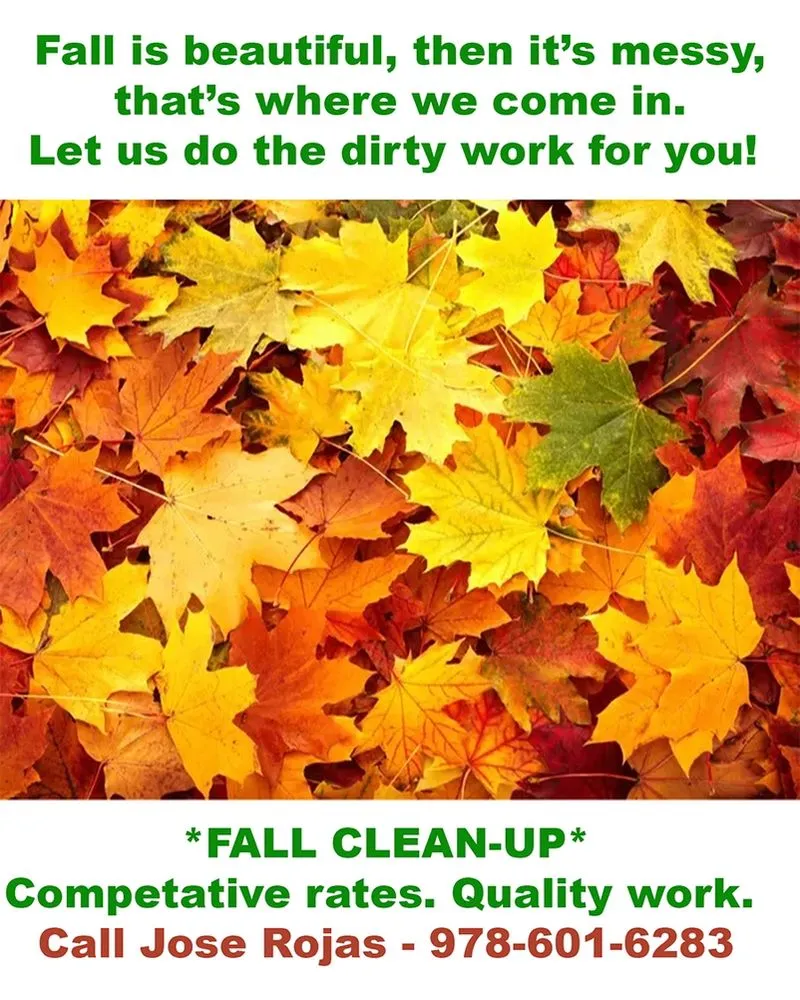 Professional garden landscaping with custom design in Lawrence, MA by Sunrise Landscaping