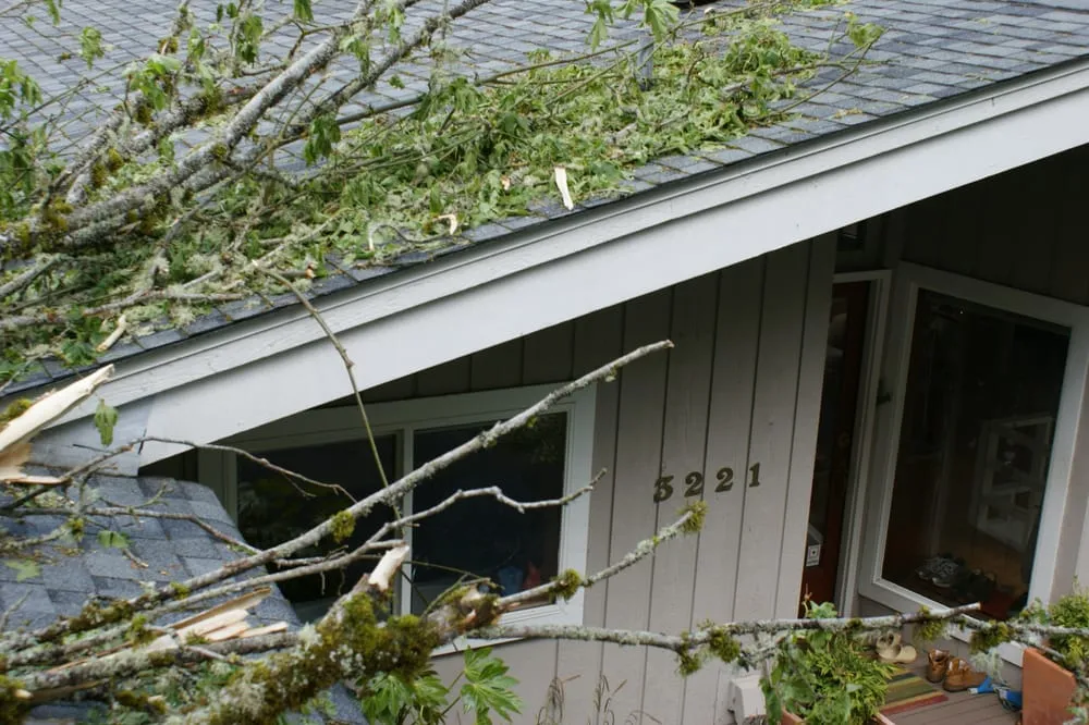 Local landscaping services for residential properties in Olympia, WA by Sunrise Landscaping