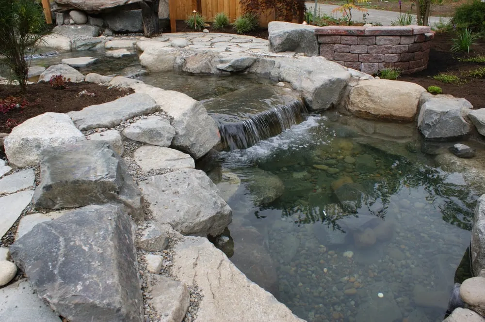 Reliable lawn care service experts serving Olympia, WA - Sunrise Landscaping