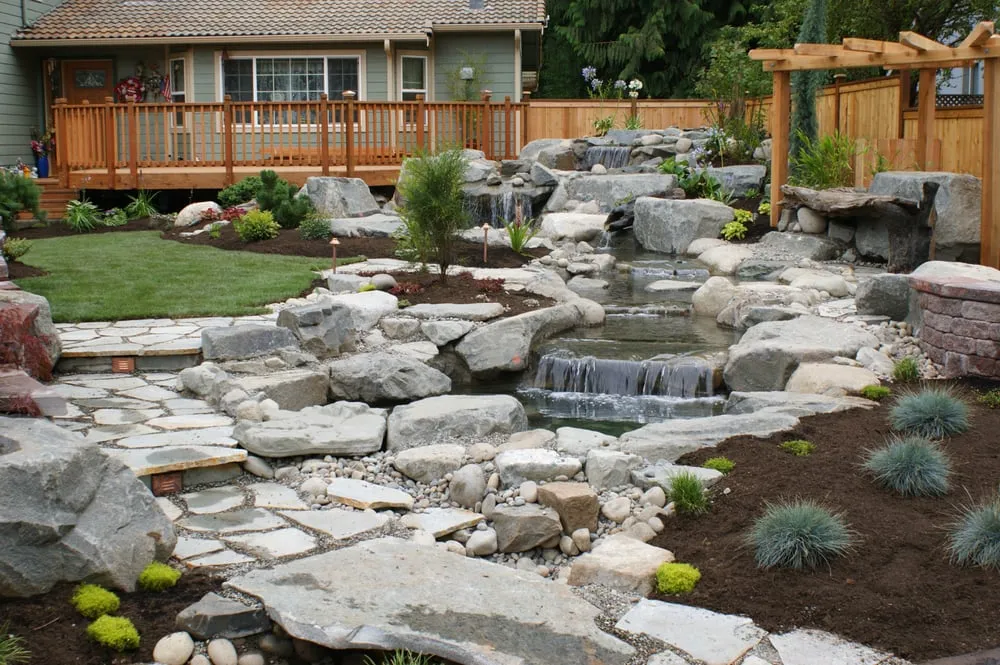 Trusted yard cleanup service in Olympia, WA by Sunrise Landscaping