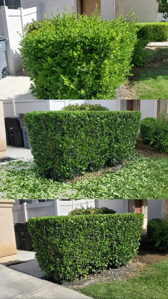 Top-rated residential landscaping in Perris, CA - Sunrise Landscaping