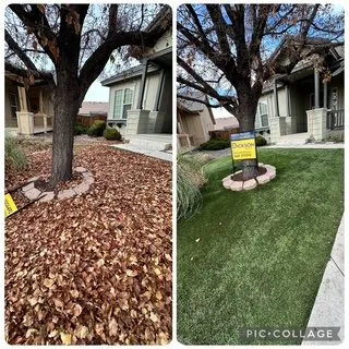 Affordable lawn care service in Reno, NV by Sunrise Landscaping