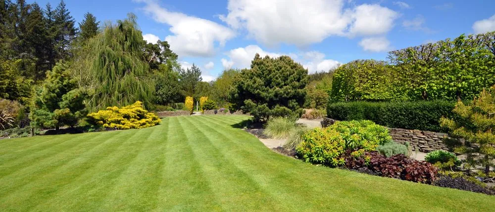 Local yard maintenance for beautiful yards across Aberdeen, NC - Sunrise Landscaping Services