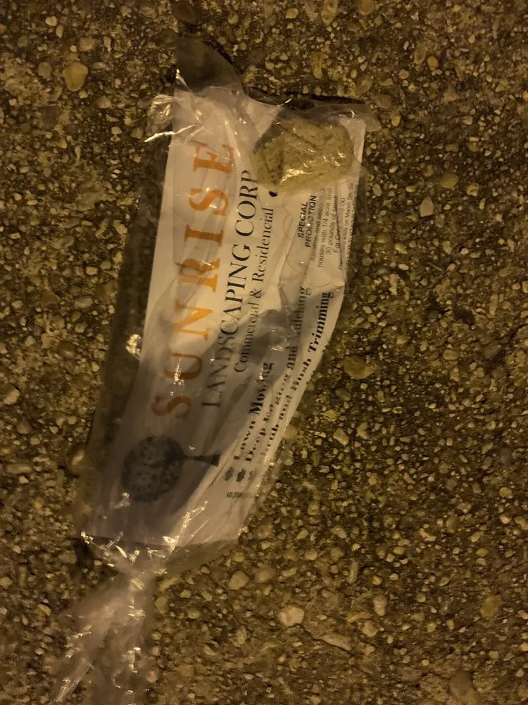 Affordable landscape design in Silver Spring, MD by Sunrise Landscaping