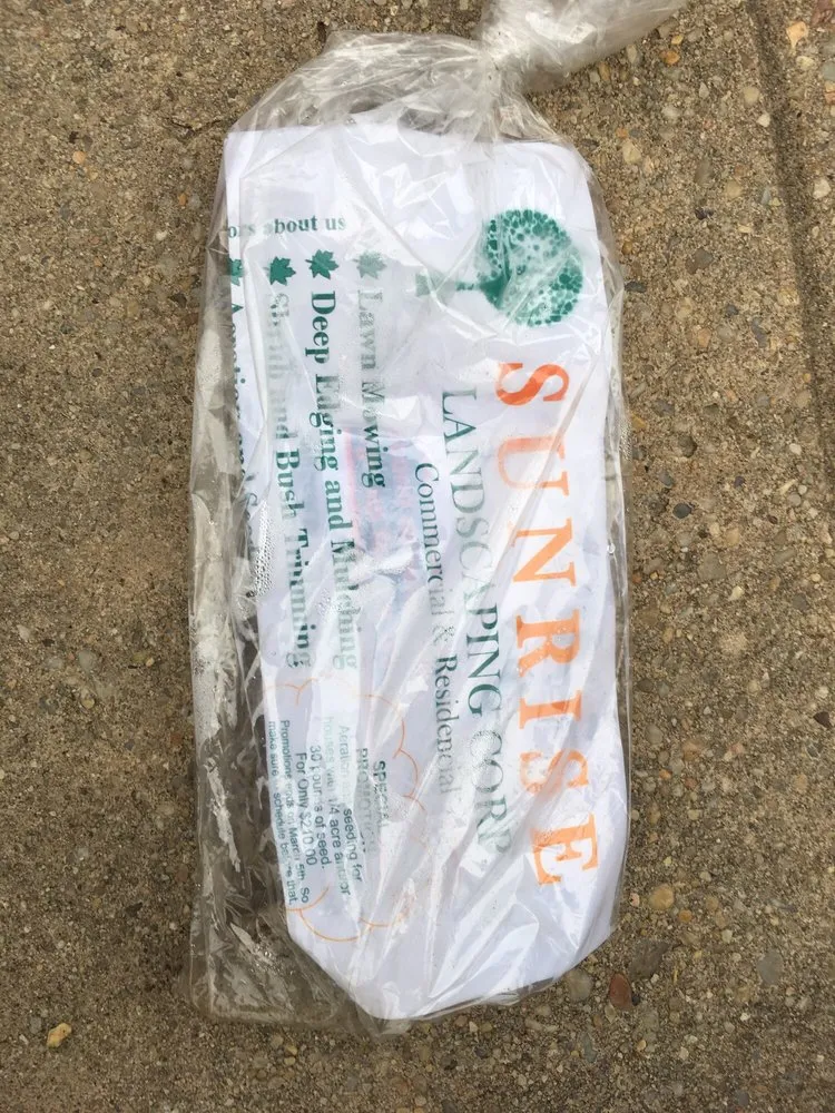 Custom landscape design in Silver Spring, MD - Sunrise Landscaping