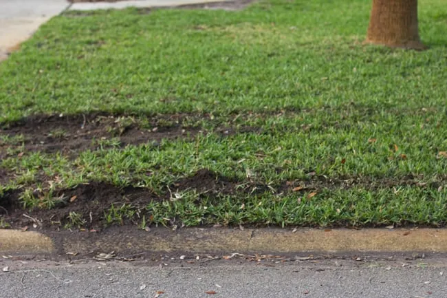 Trusted outdoor landscaping with custom design in Silver Spring, MD by Sunrise Landscaping