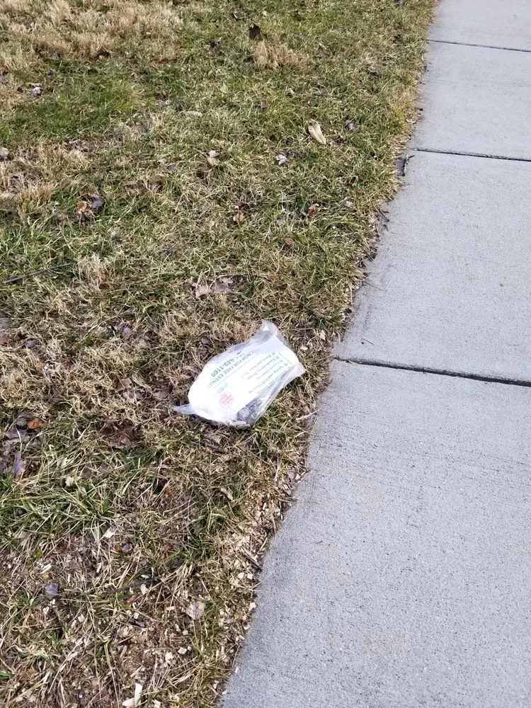 Custom yard cleanup service for outdoor upgrades across Silver Spring, MD - Sunrise Landscaping