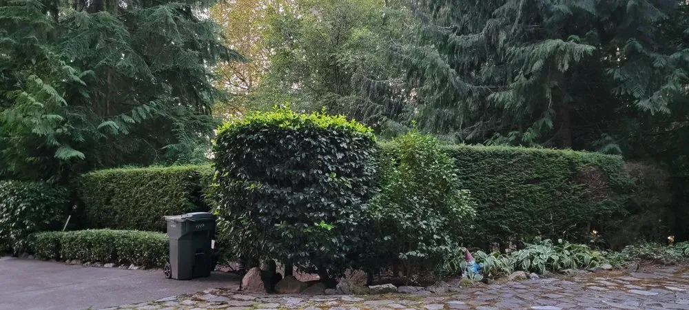 Top-rated landscaping services experts serving Auburn, WA - Sunrise Landscaping Solutions