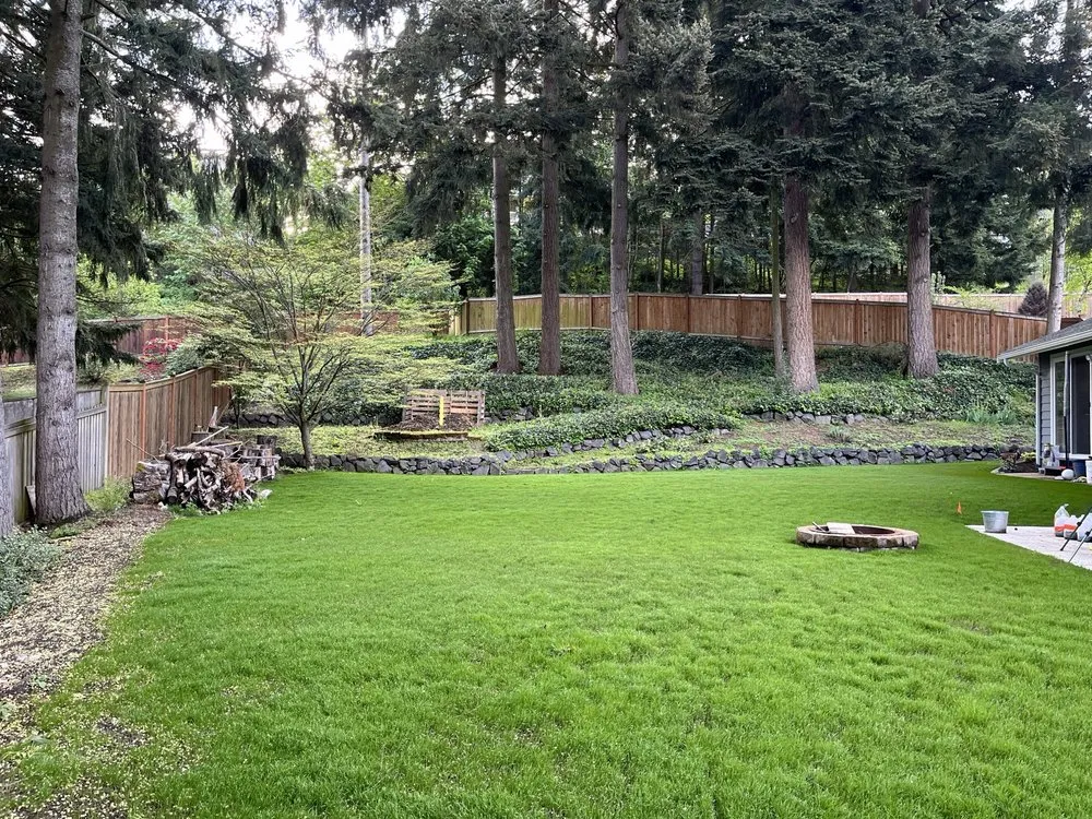 Professional landscaping services experts serving Auburn, WA - Sunrise Landscaping Solutions