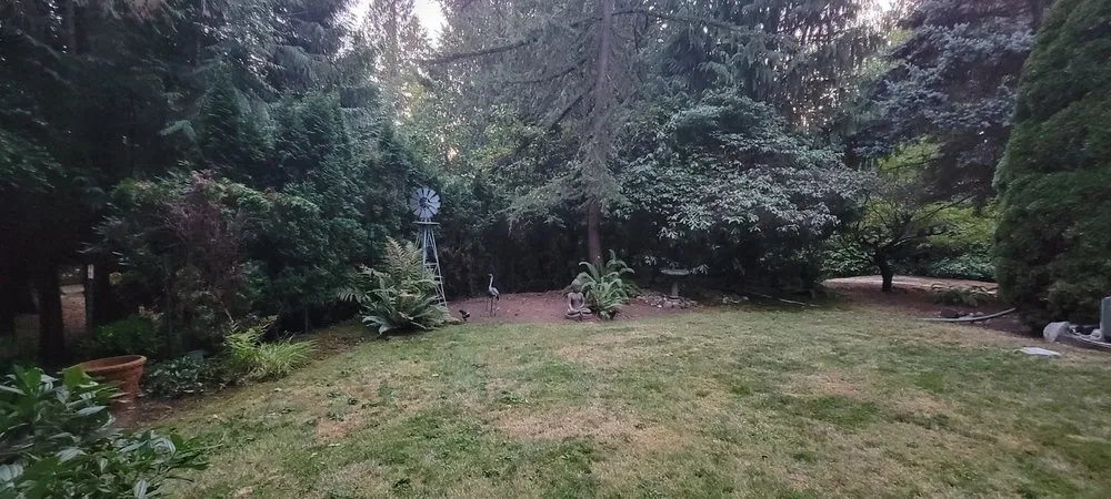 Reliable lawn mowing service with custom design in Auburn, WA by Sunrise Landscaping Solutions