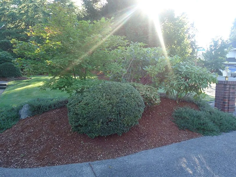Professional residential landscaping experts serving Auburn, WA - Sunrise Landscaping Solutions