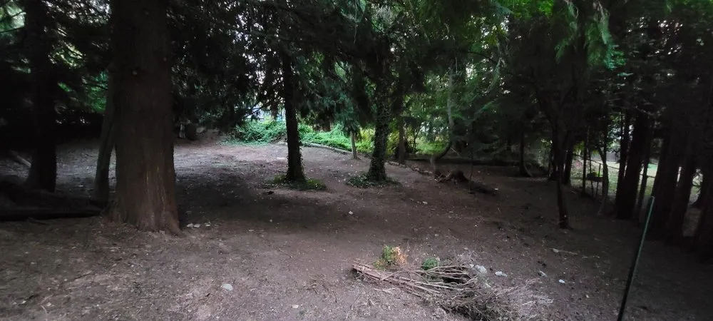 Top-rated yard cleanup service with custom design across Auburn, WA - Sunrise Landscaping Solutions