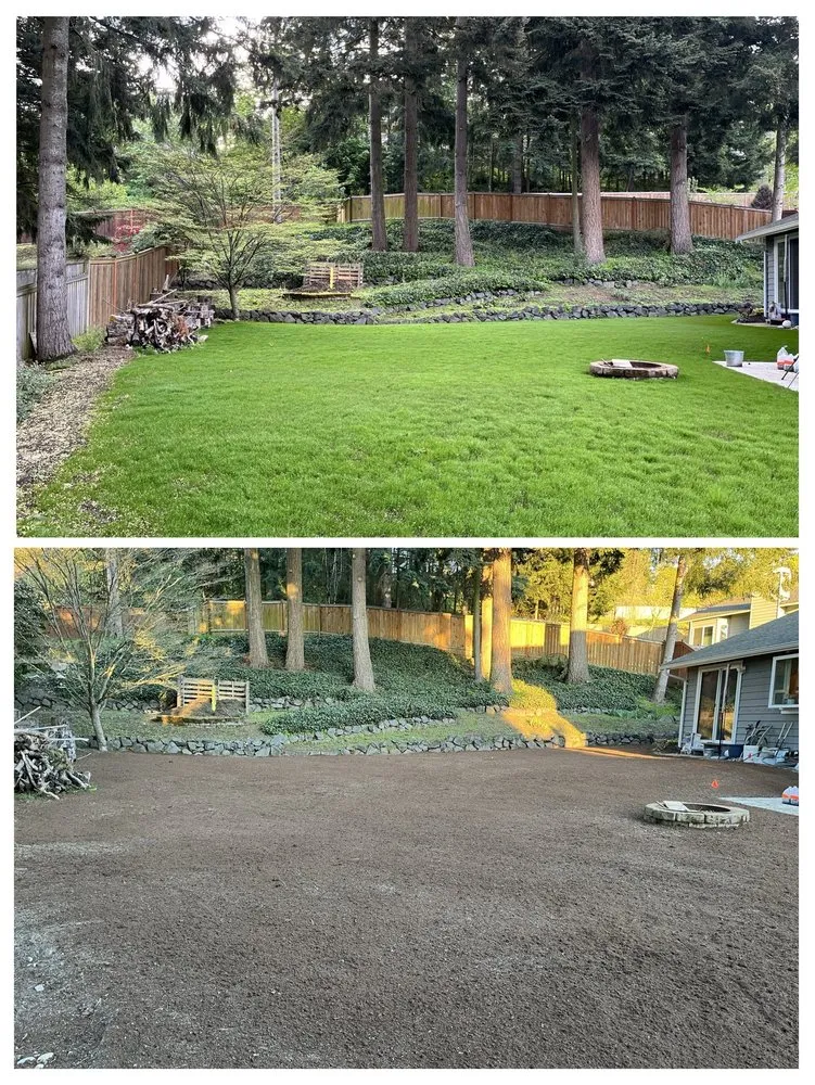 Professional garden landscaping in Auburn, WA by Sunrise Landscaping Solutions