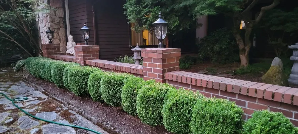 Expert landscape installation for beautiful yards across Auburn, WA - Sunrise Landscaping Solutions