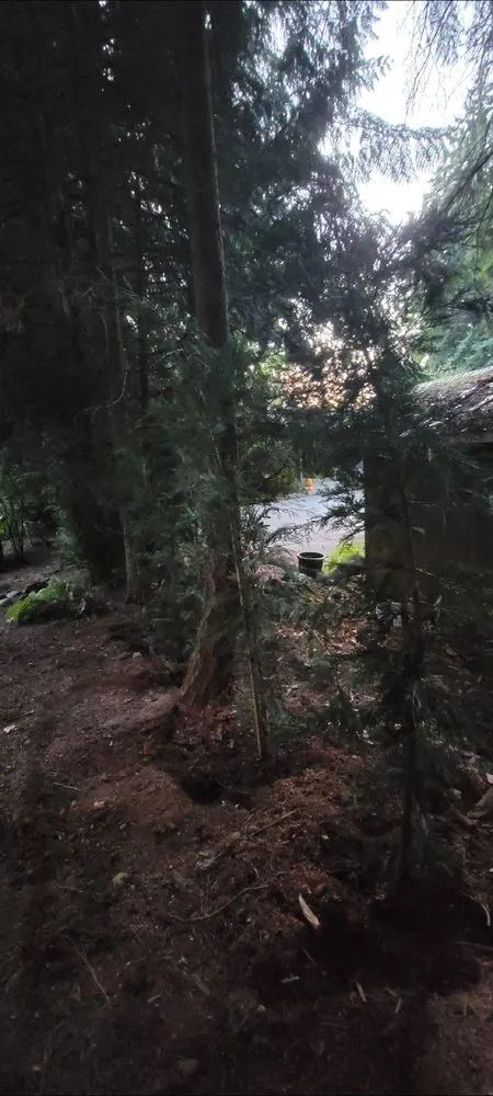 Top-rated residential landscaping for year-round maintenance across Auburn, WA - Sunrise Landscaping Solutions