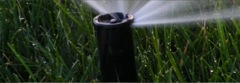 Trusted lawn mowing service near you across Lehigh Acres, FL - Sunrise Lawn Care Service