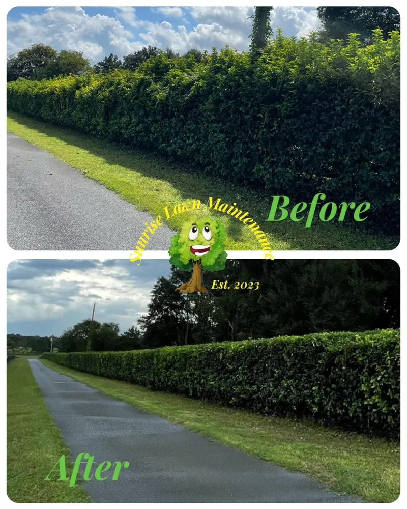 Professional landscape design in Summerfield, FL by Sunrise Lawn Maintenance