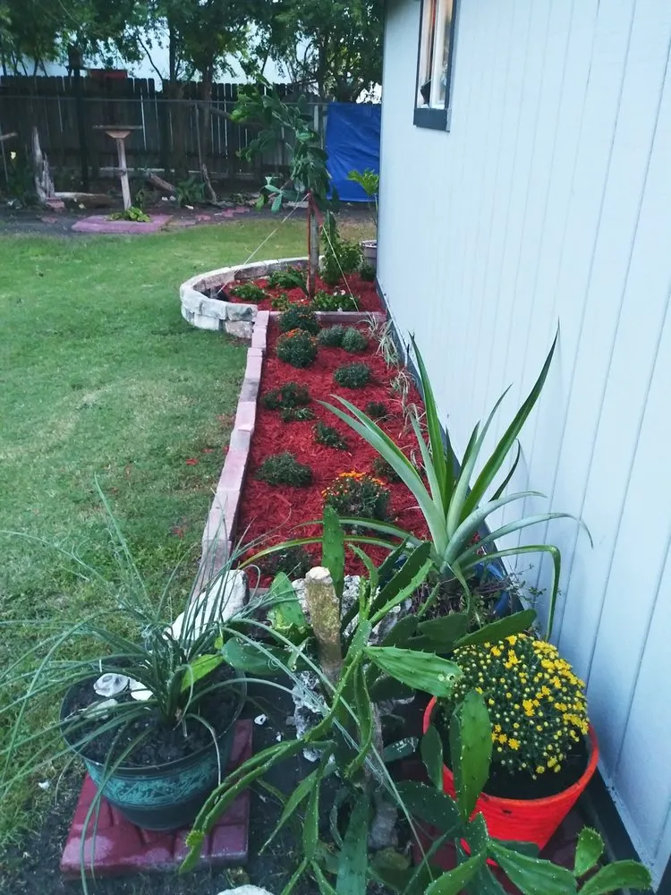 Expert landscape design for outdoor upgrades in Corpus Christi, TX by Sunrise Lawn Service