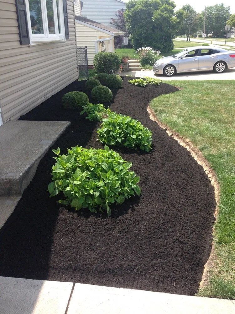 Top-rated landscape installation in Brunswick, OH by Sunrise Lawn Services