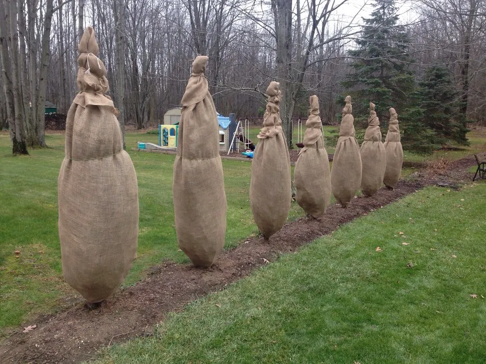 Custom landscape design in Brunswick, OH - Sunrise Lawn Services