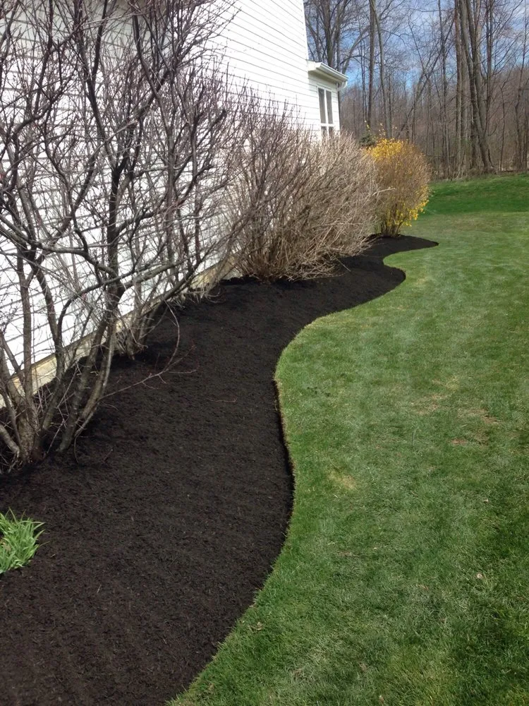 Custom yard maintenance experts serving Brunswick, OH - Sunrise Lawn Services