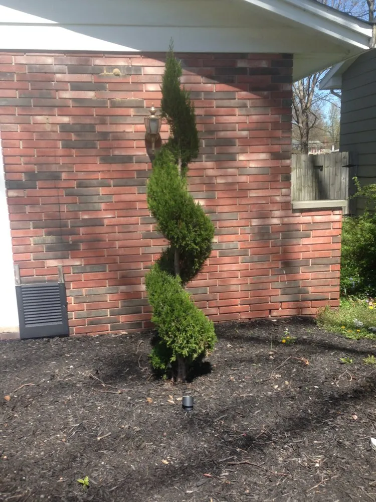 Expert landscaping services in Brunswick, OH - Sunrise Lawn Services
