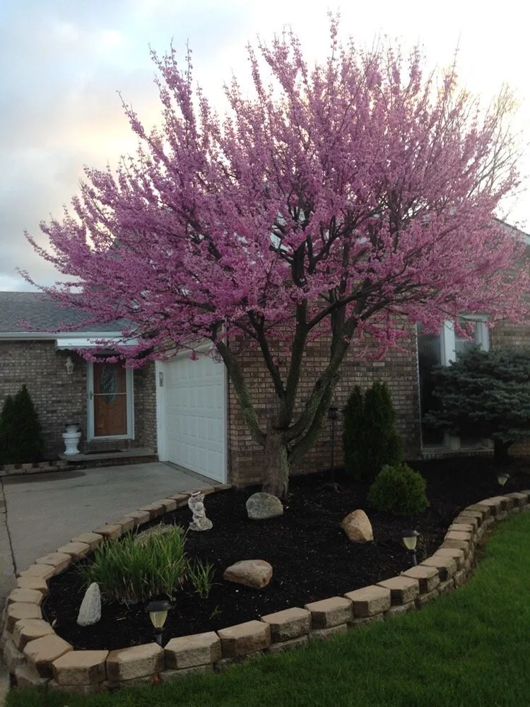 Reliable landscape installation for homes in Brunswick, OH by Sunrise Lawn Services