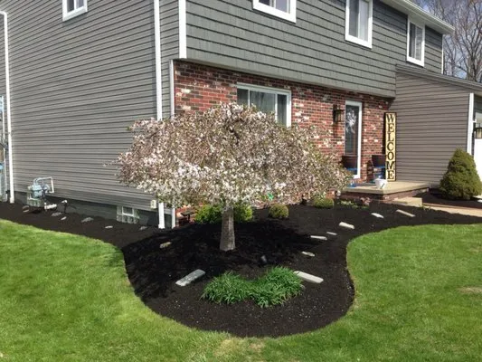 Sunrise Lawn Services