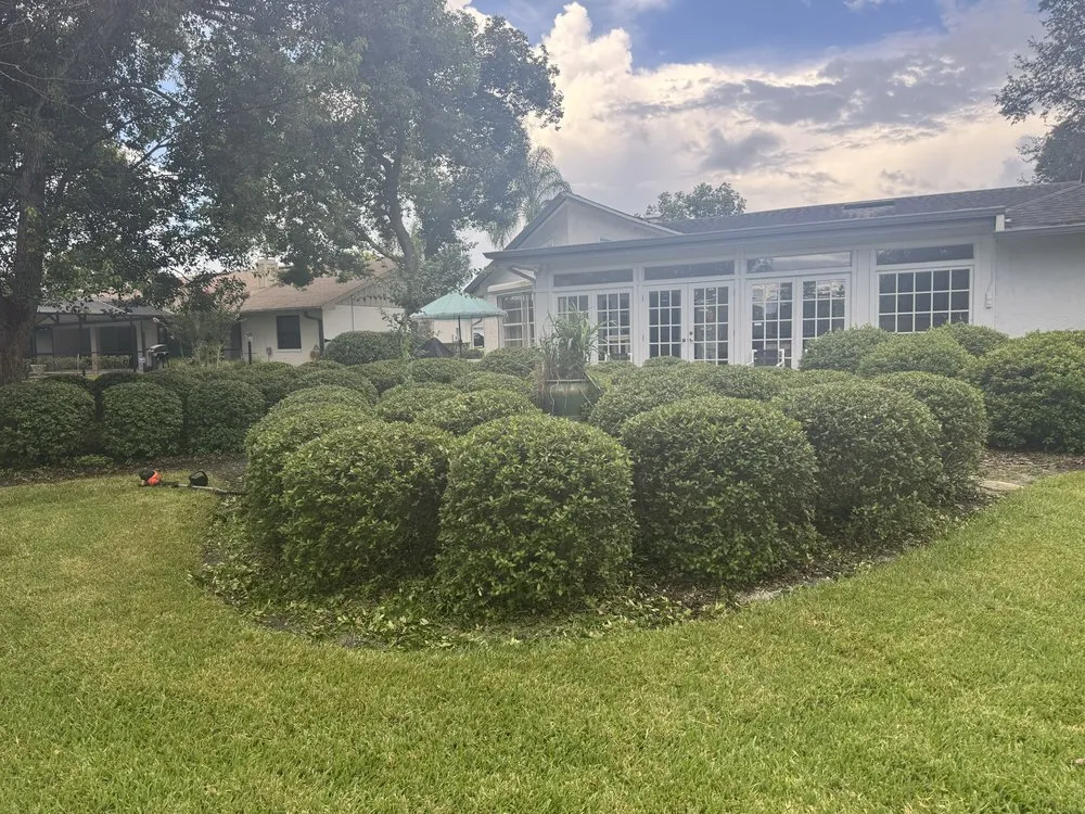 Local lawn care service experts serving Longwood, FL - Sunrise Lawncare of Seminole County