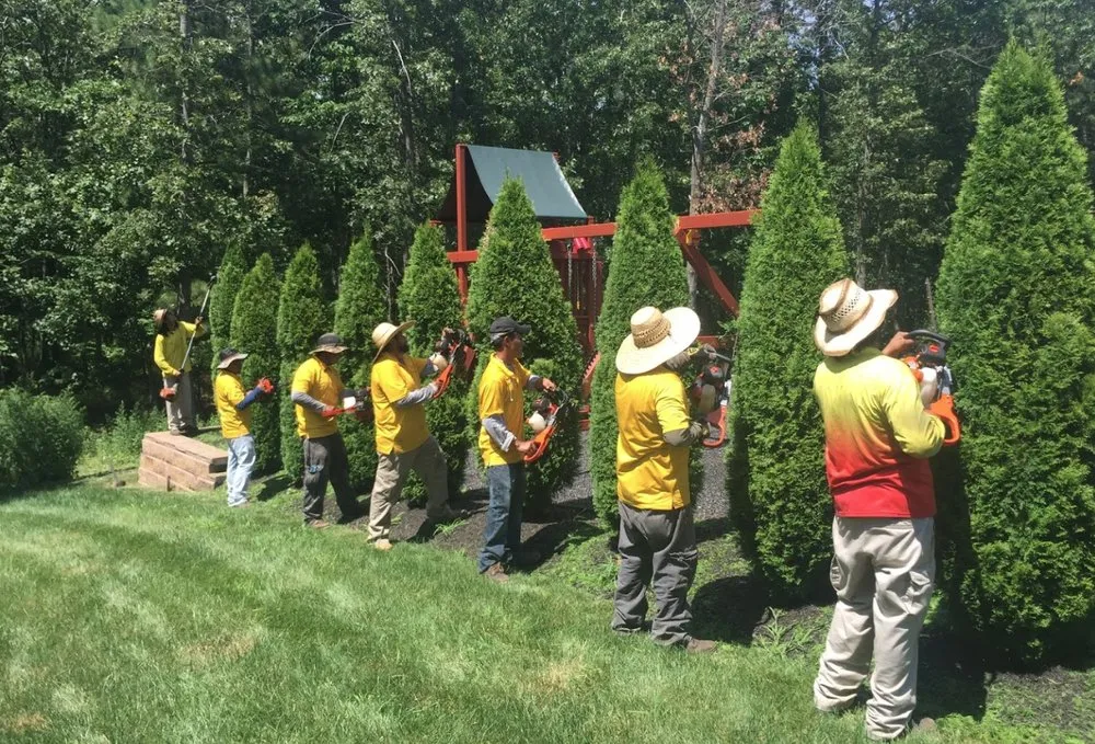 Professional residential landscaping for year-round maintenance in Colts Neck, NJ by Sunrise Maintenance & Landscaping