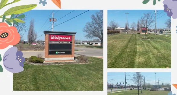 Expert yard maintenance in Niagara Falls, NY - Sunrise Maintenance of WNY