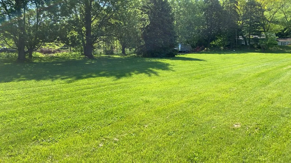 Trusted lawn care service in Niagara Falls, NY by Sunrise Maintenance of WNY