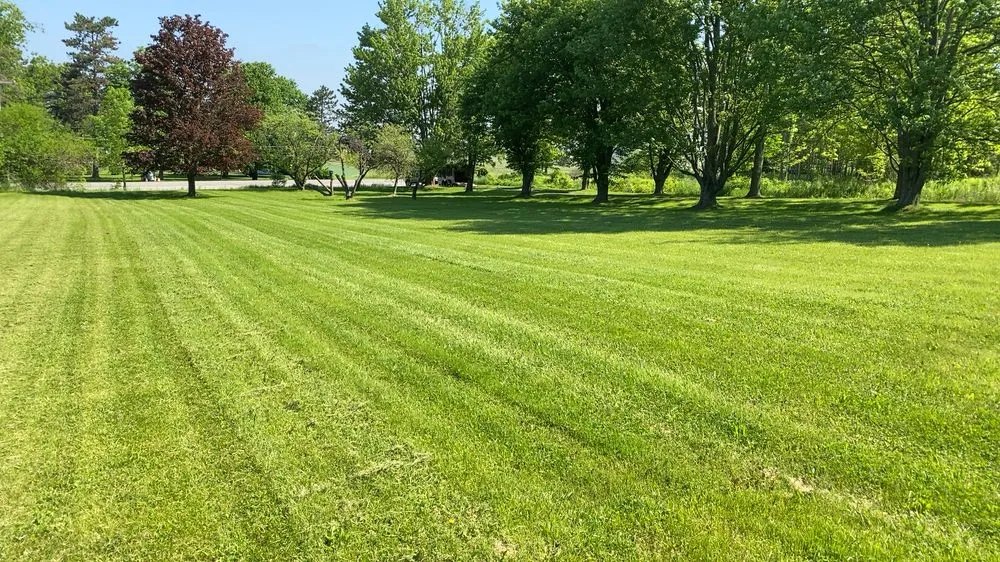 Affordable yard maintenance for beautiful yards in Niagara Falls, NY by Sunrise Maintenance of WNY