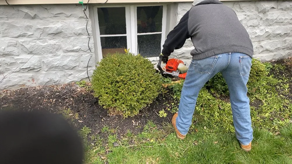 Local yard cleanup service experts serving Niagara Falls, NY - Sunrise Maintenance of WNY