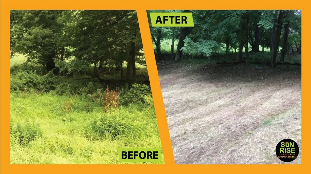 Expert garden landscaping with custom design across Niagara Falls, NY - Sunrise Maintenance of WNY