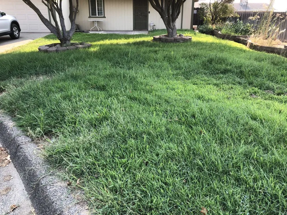 Reliable garden landscaping in Atwater, CA by Sunrise Mowing