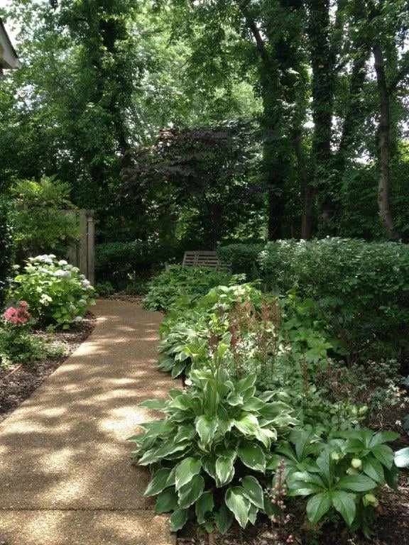 Reliable landscape design experts serving Nashville, TN - Sunrise of Nashville