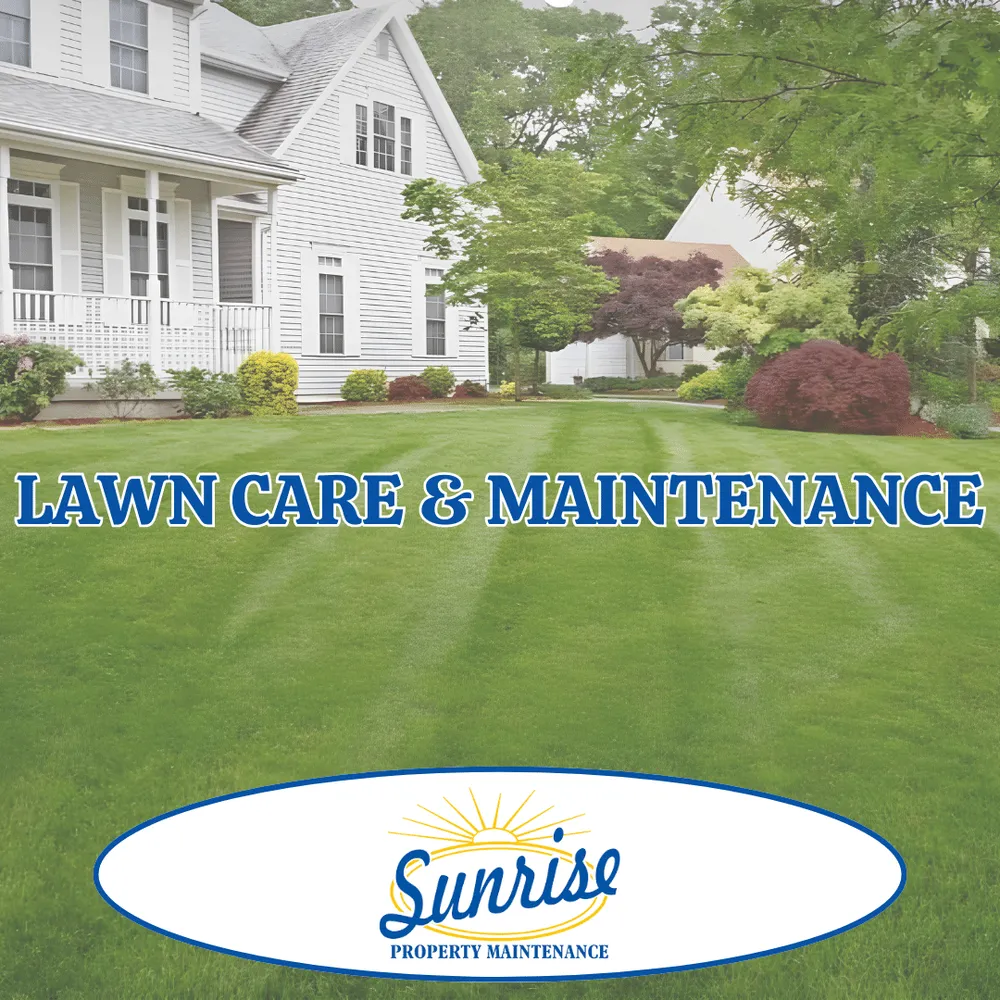 Professional landscape design for beautiful yards across Marshall, AR - Sunrise Property Maintenance