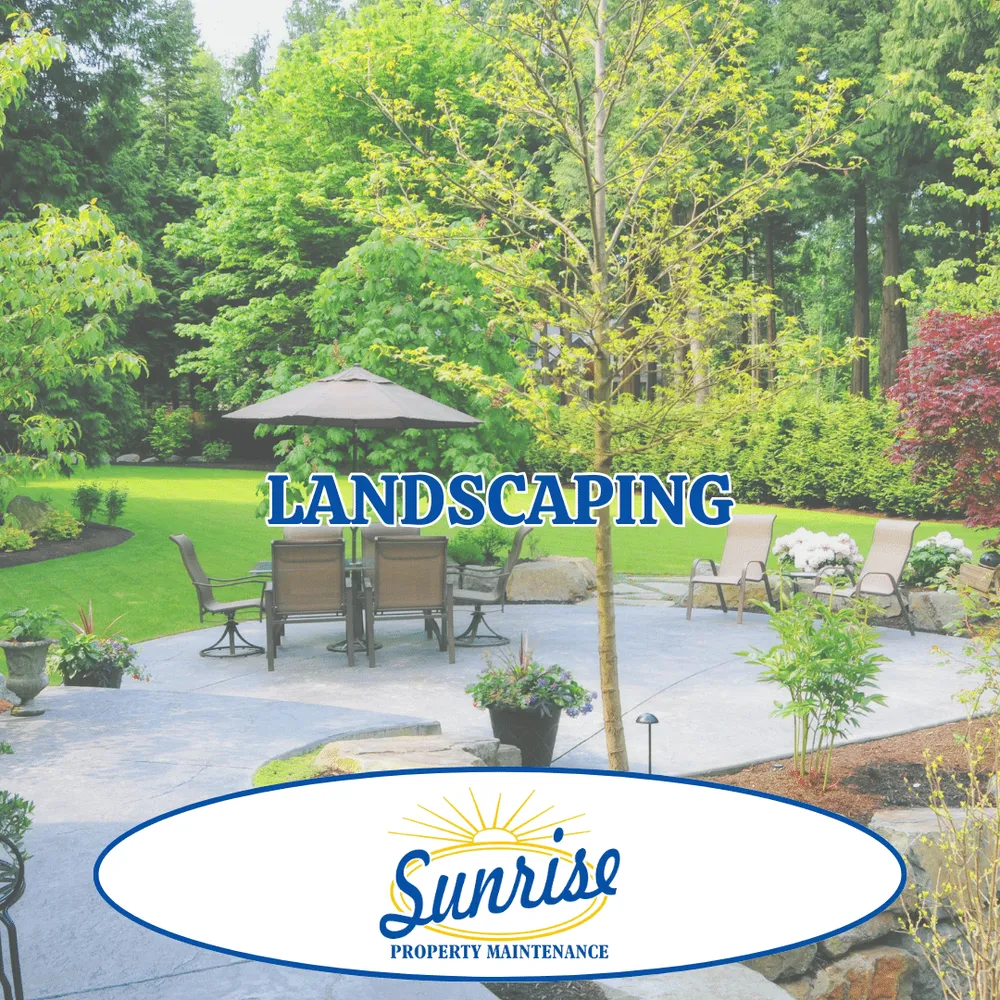 Reliable yard cleanup service for beautiful yards in Marshall, AR by Sunrise Property Maintenance