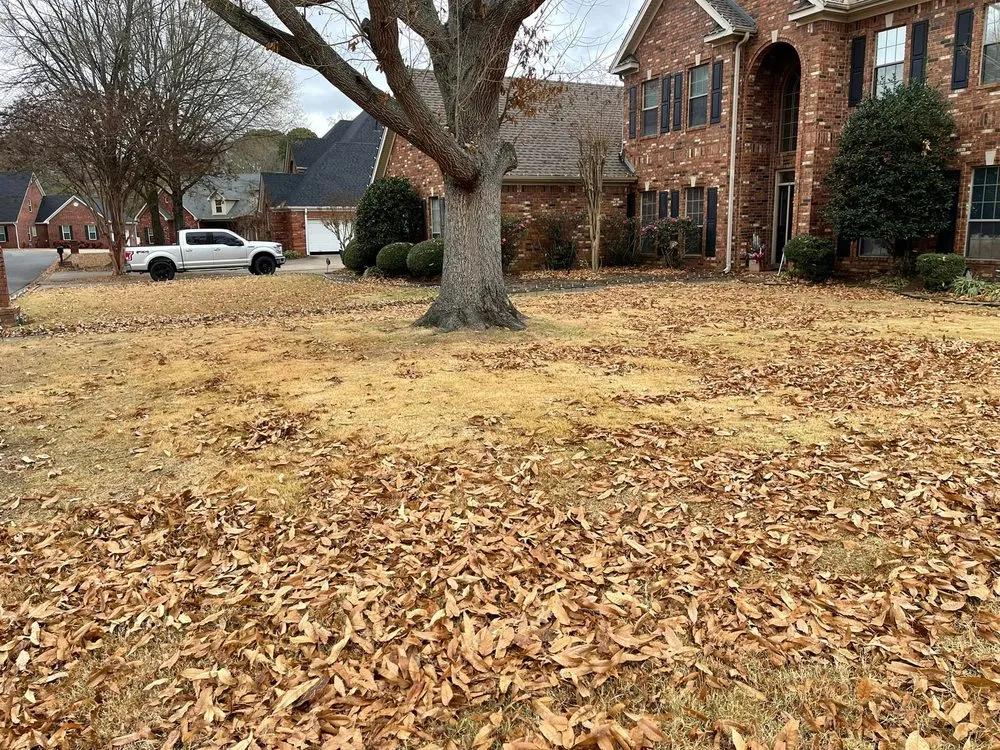 Top-rated lawn care service in Marshall, AR by Sunrise Property Maintenance