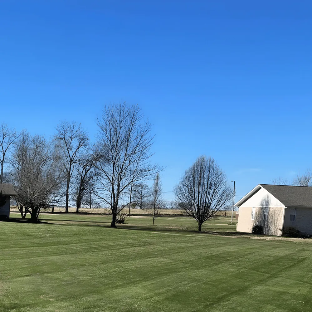 Custom outdoor landscaping for homes in Marshall, AR by Sunrise Property Maintenance