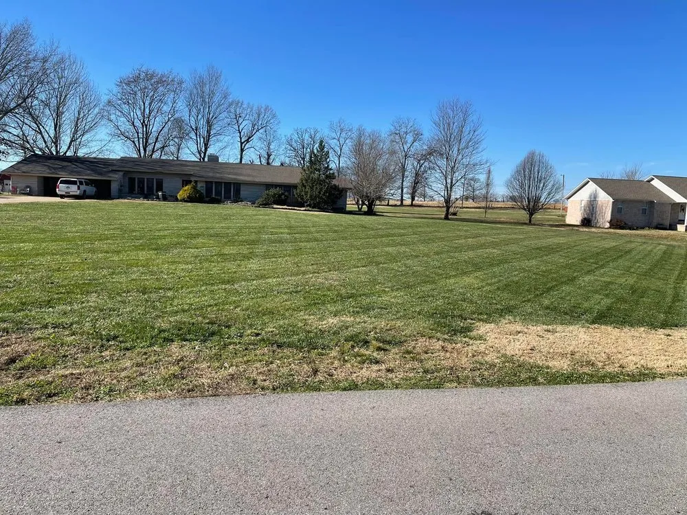 Local yard cleanup service for outdoor upgrades in Marshall, AR by Sunrise Property Maintenance