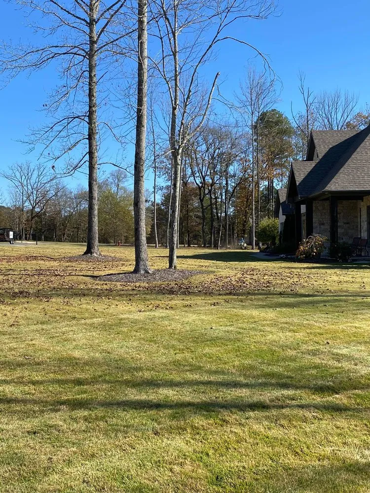 Affordable lawn mowing service near you across Marshall, AR - Sunrise Property Maintenance