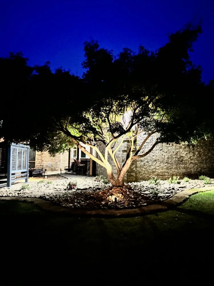 Top-rated yard cleanup service in Marshall, AR by Sunrise Property Maintenance