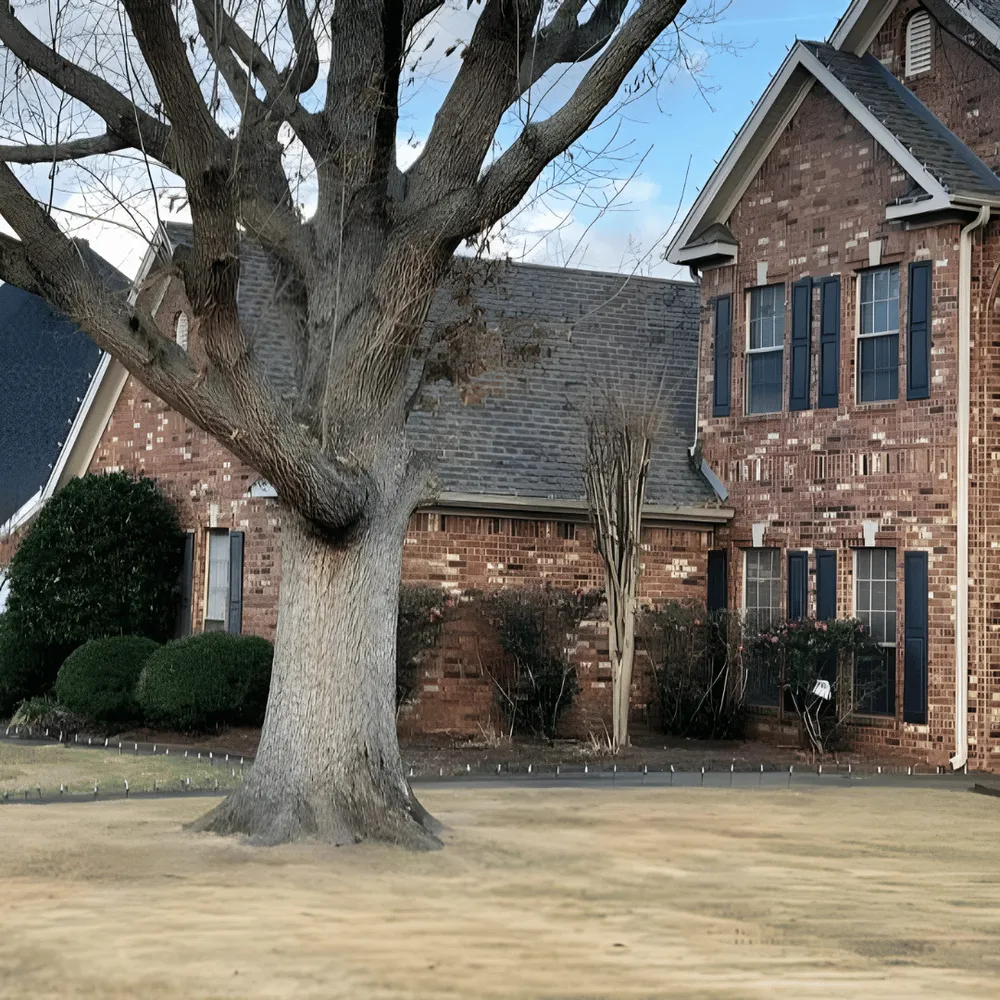 Affordable landscaping services in Marshall, AR - Sunrise Property Maintenance