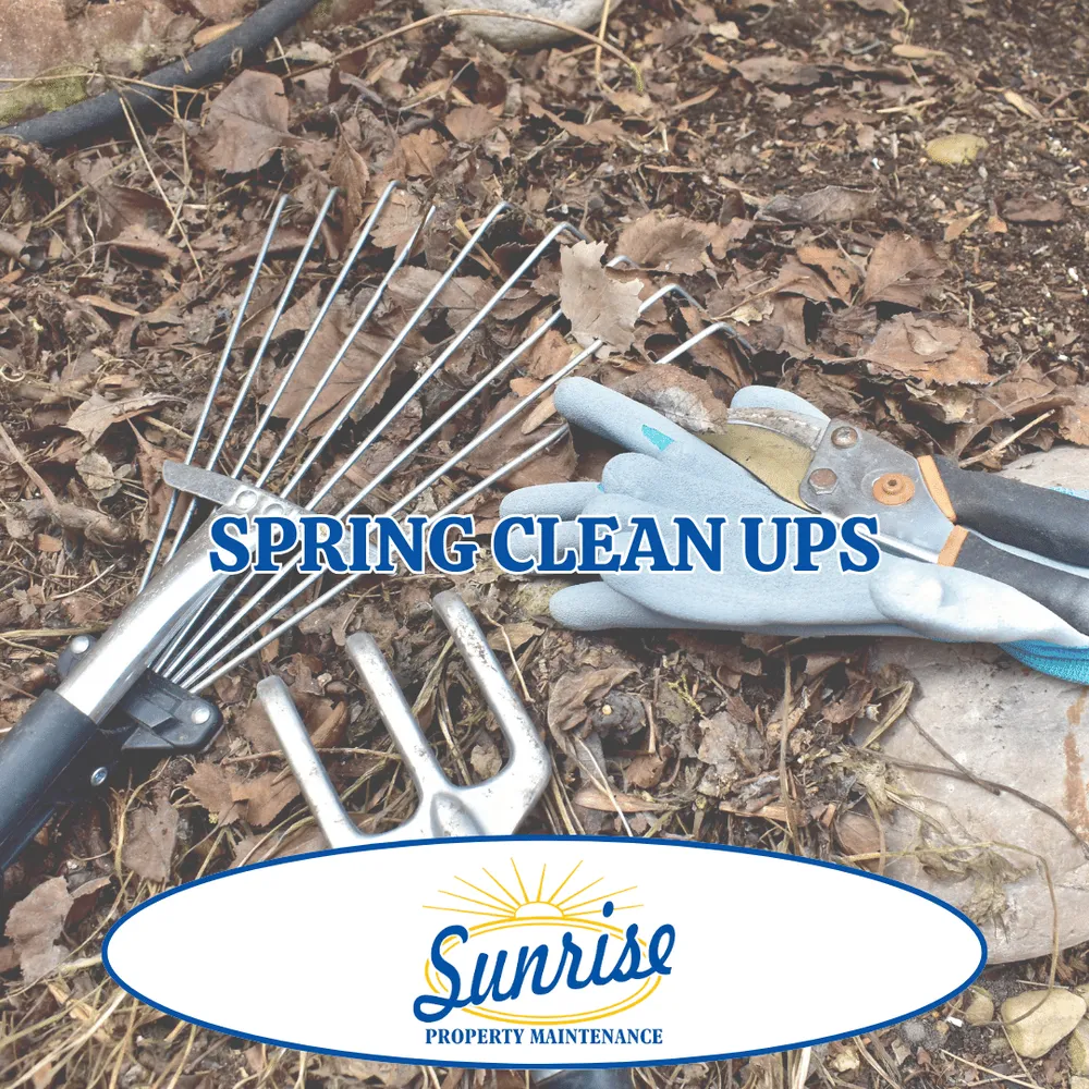 Reliable landscape design for year-round maintenance across Marshall, AR - Sunrise Property Maintenance