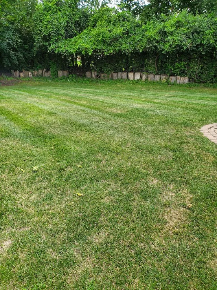 Expert yard cleanup service for residential properties in Augusta Charter Township, MI by Sunrise Property Services