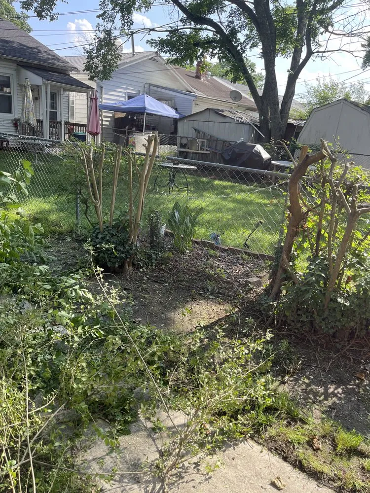 Expert lawn mowing service near you across Richmond, VA - Sunrise Services