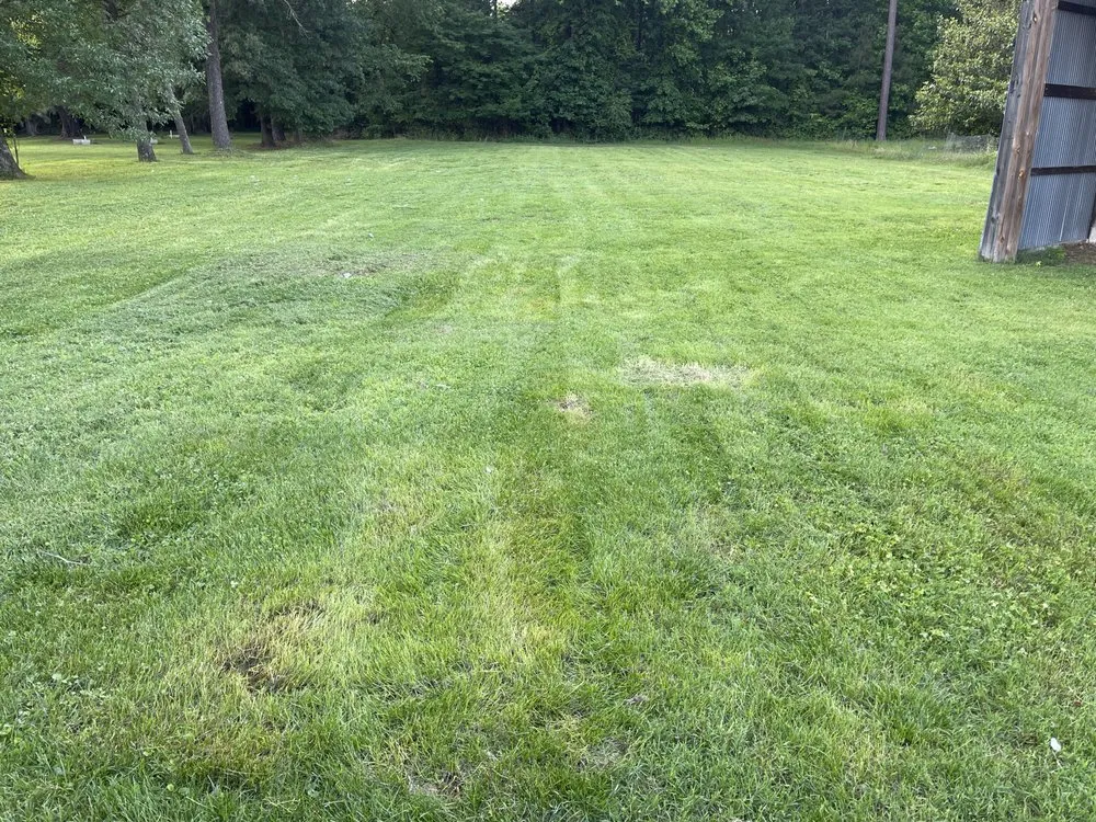 Custom residential landscaping for year-round maintenance across Richmond, VA - Sunrise Services